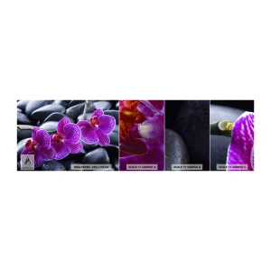 Échantillon De Papier Peint Standard Eco - Les pierres brillaient de joie - Fleurs, Des pierres, Orchidée - 100x30 cm