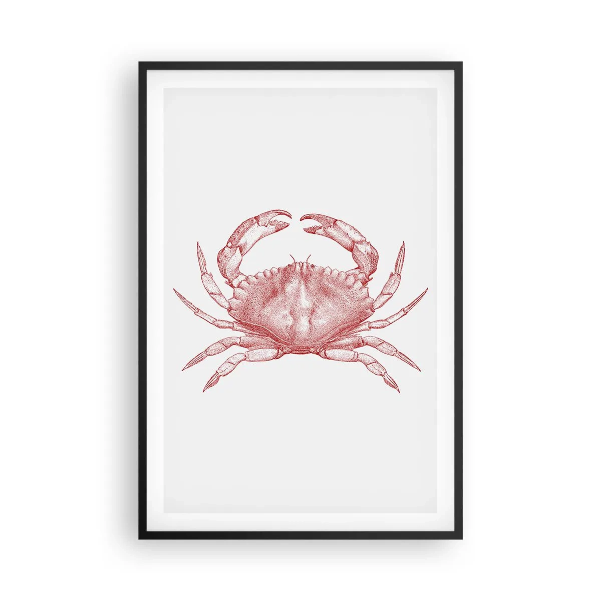 Affiche dans un cadre noir - Poster - Le crabe des crabes - 61x91 cm