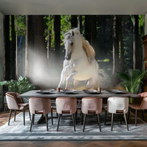 Papier Peint Photo Premium Sand - Comme dans un roman fantastique - Animaux, Cheval, Paysage - 200x140 cm