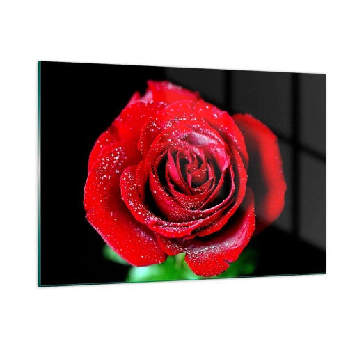 Impression sur verre - Image sur verre - Une rose rouge couverte de gouttes de rosée sur un fond sombre - 120x80cm - C'est ça l'amour - Décoration murale moderne pour le salon et la chambre ARTTOR