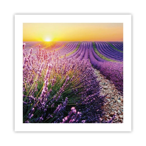 Affiche - Poster - Tige parfumée - 50x50 cm