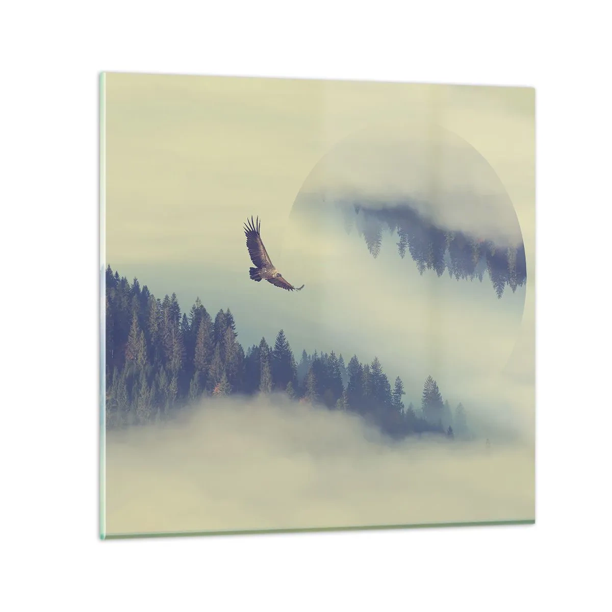 Impression sur verre - Image sur verre - J'ai vu l'ombre d'un aigle - 70x70 cm