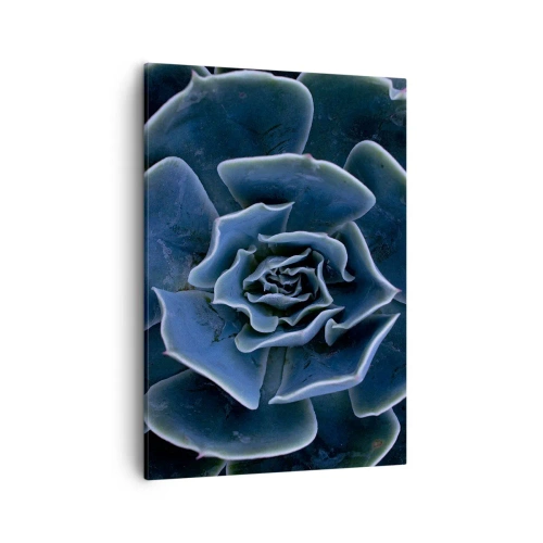 Impression sur toile - Image sur toile - Gros plan d'une rosette succulente verte - 50x70cm - Fleur du désert - Décoration murale moderne pour le salon et la chambre ARTTOR