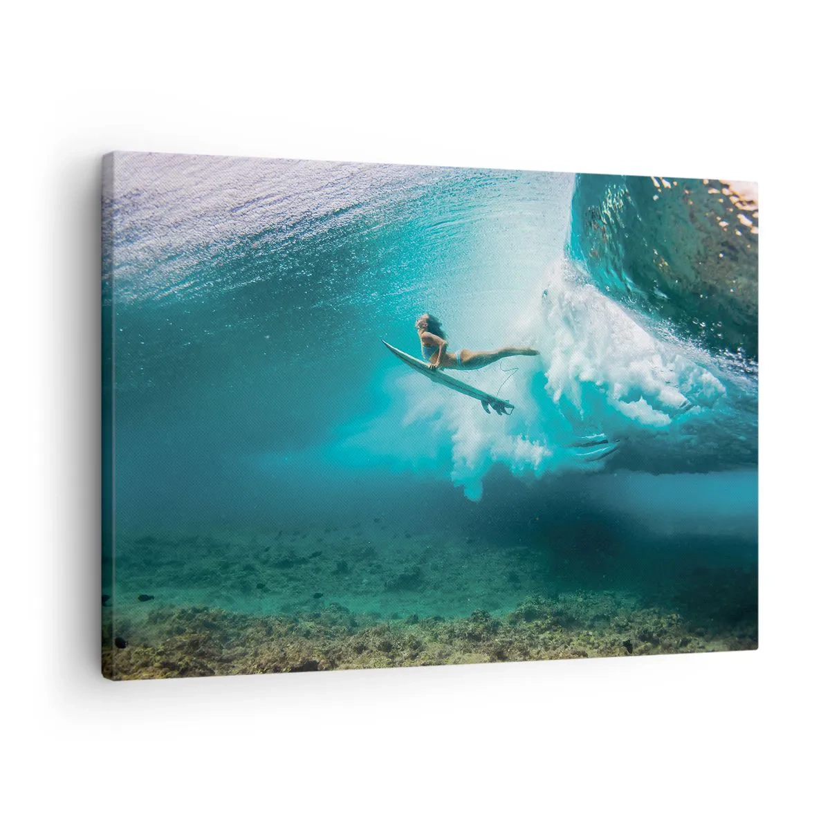 Impression sur toile - Image sur toile - Monde sous marin - 70x50 cm
