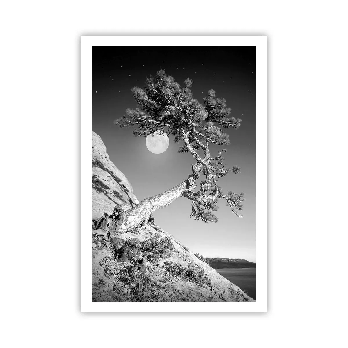 Affiche - Poster - Un combattant vainqueur - 61x91 cm