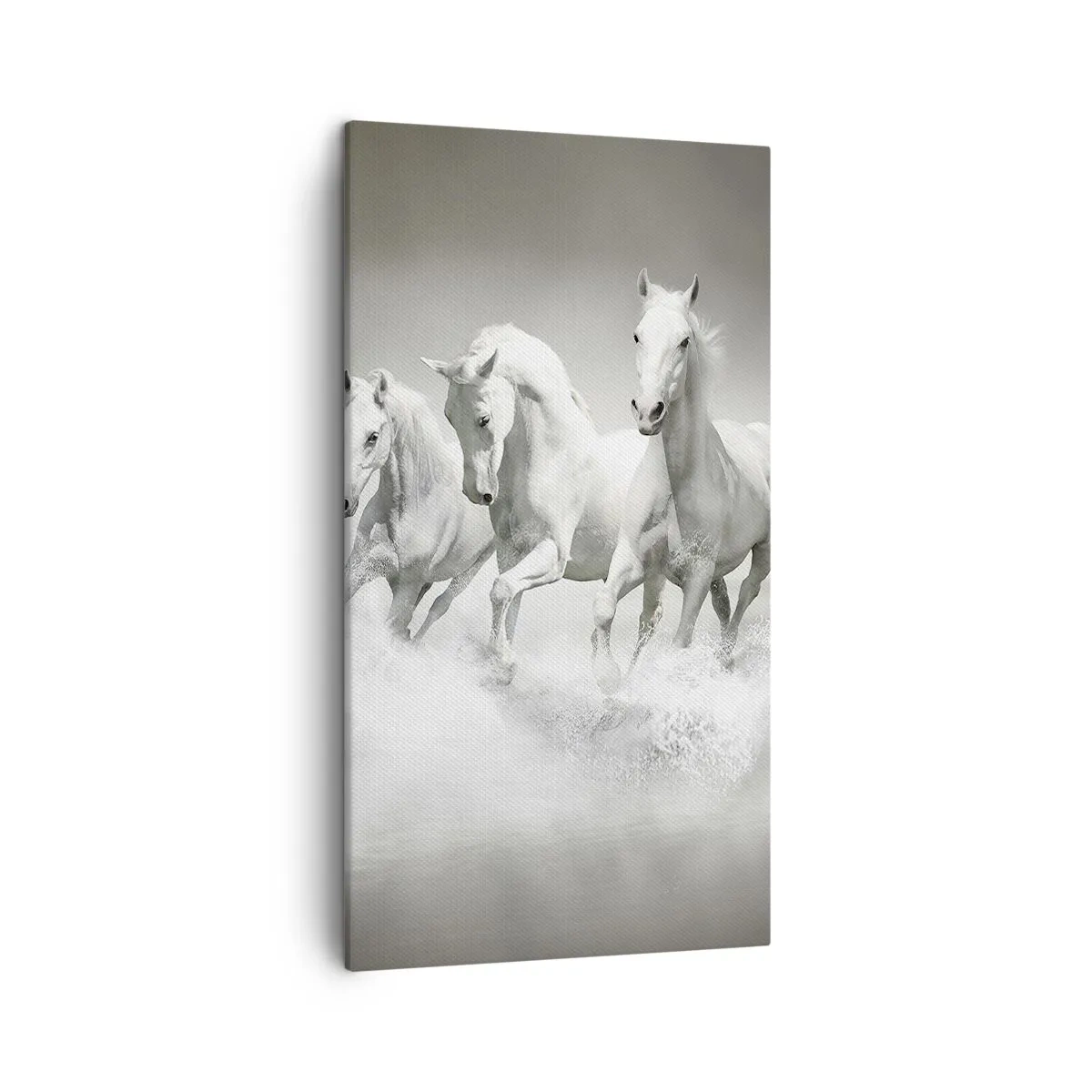 Impression sur toile - Image sur toile - La folie blanche - 45x80 cm