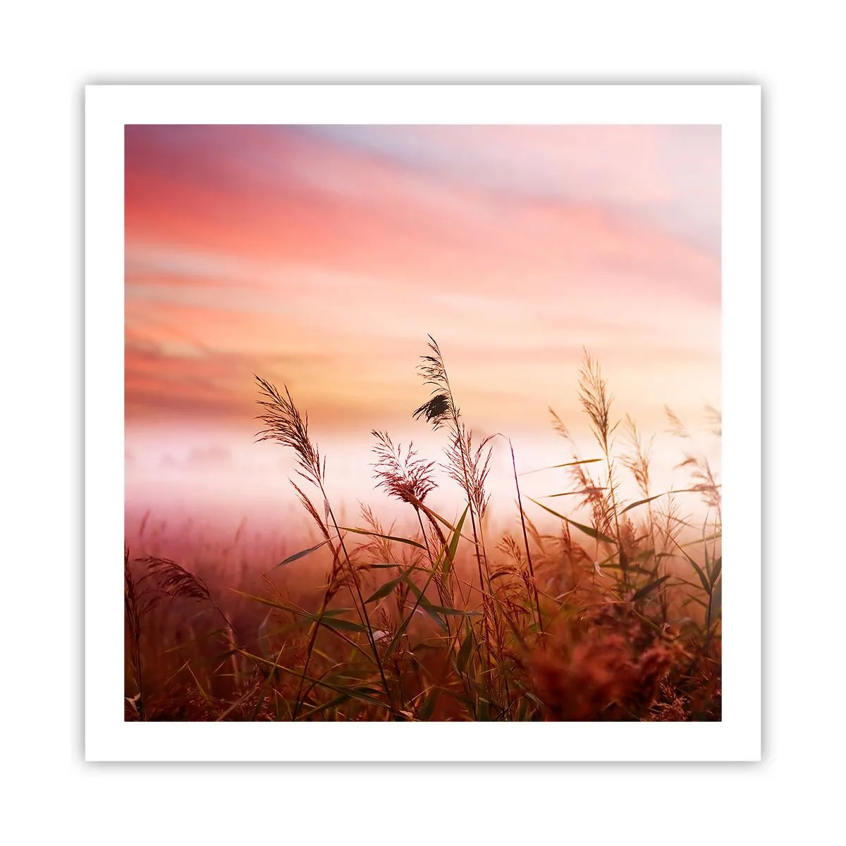 Affiche - Poster - Cerfs-volants, pissenlits, vent - 60x60 cm