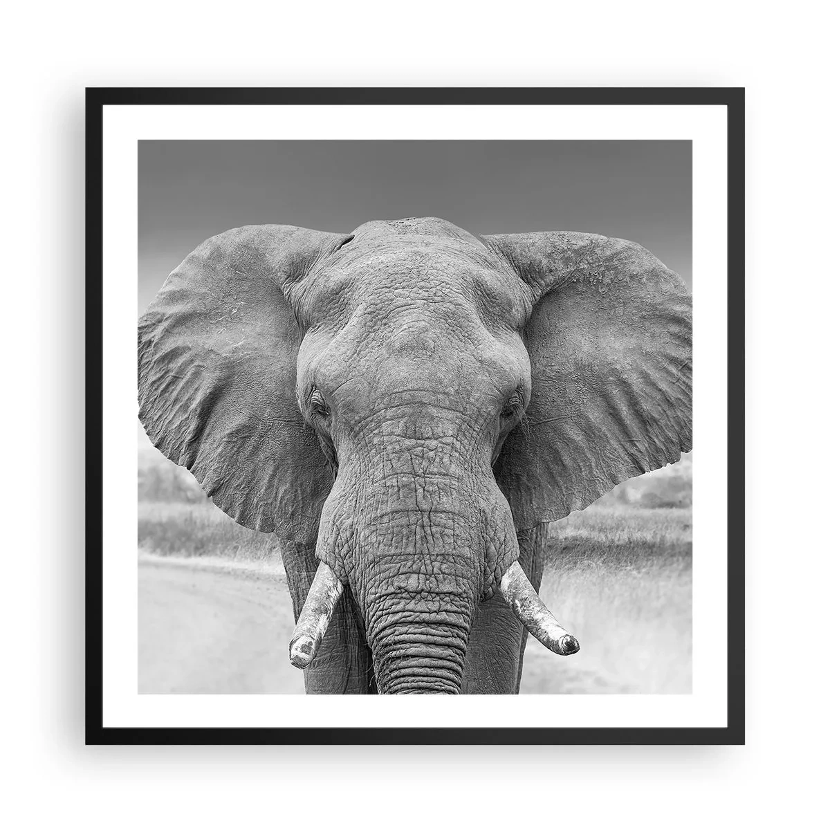 Affiche dans un cadre noir - Poster - Bienvenue dans mon monde - 60x60 cm