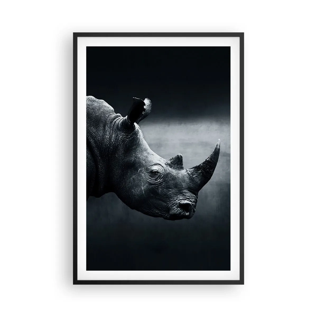 Affiche dans un cadre noir - Poster - Le profil droit - 61x91 cm