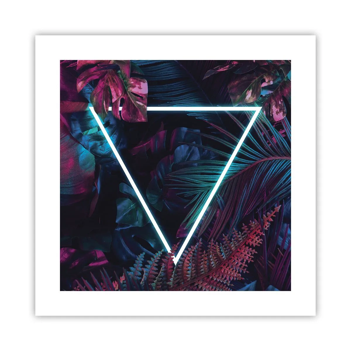 Affiche - Poster - Jardin de style disco - 40x40 cm