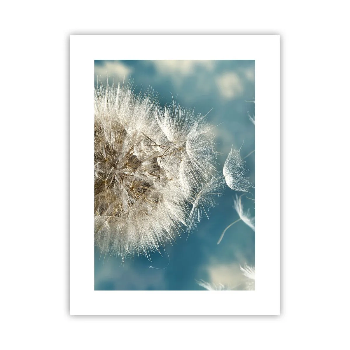 Affiche - Poster - souffle d'ange - 30x40 cm