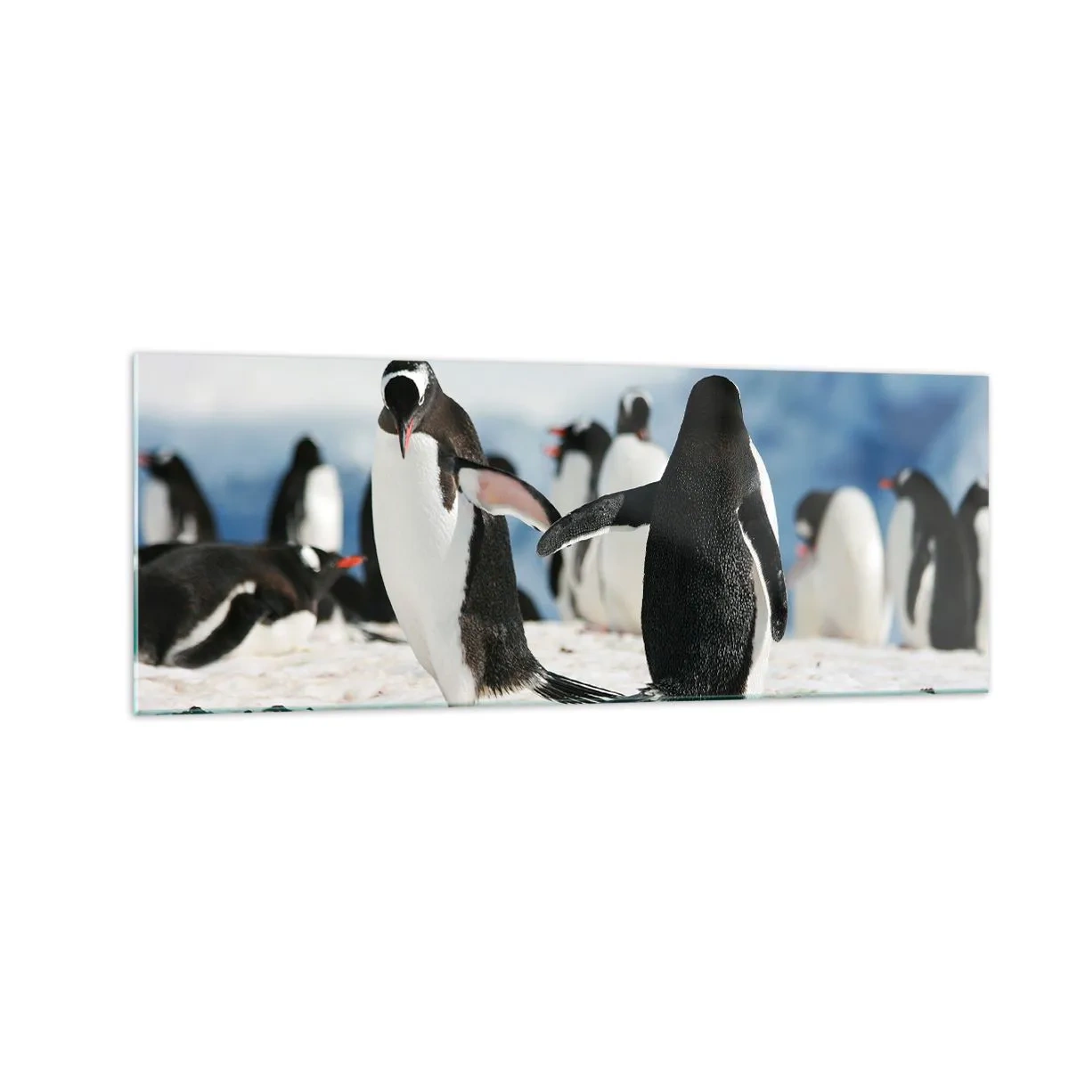 Impression sur verre - Image sur verre - Un groupe de pingouins dans la neige dans un paysage antarctique - 140x50cm - Danser dans la neige - Décoration murale moderne pour le salon et la chambre ARTTOR