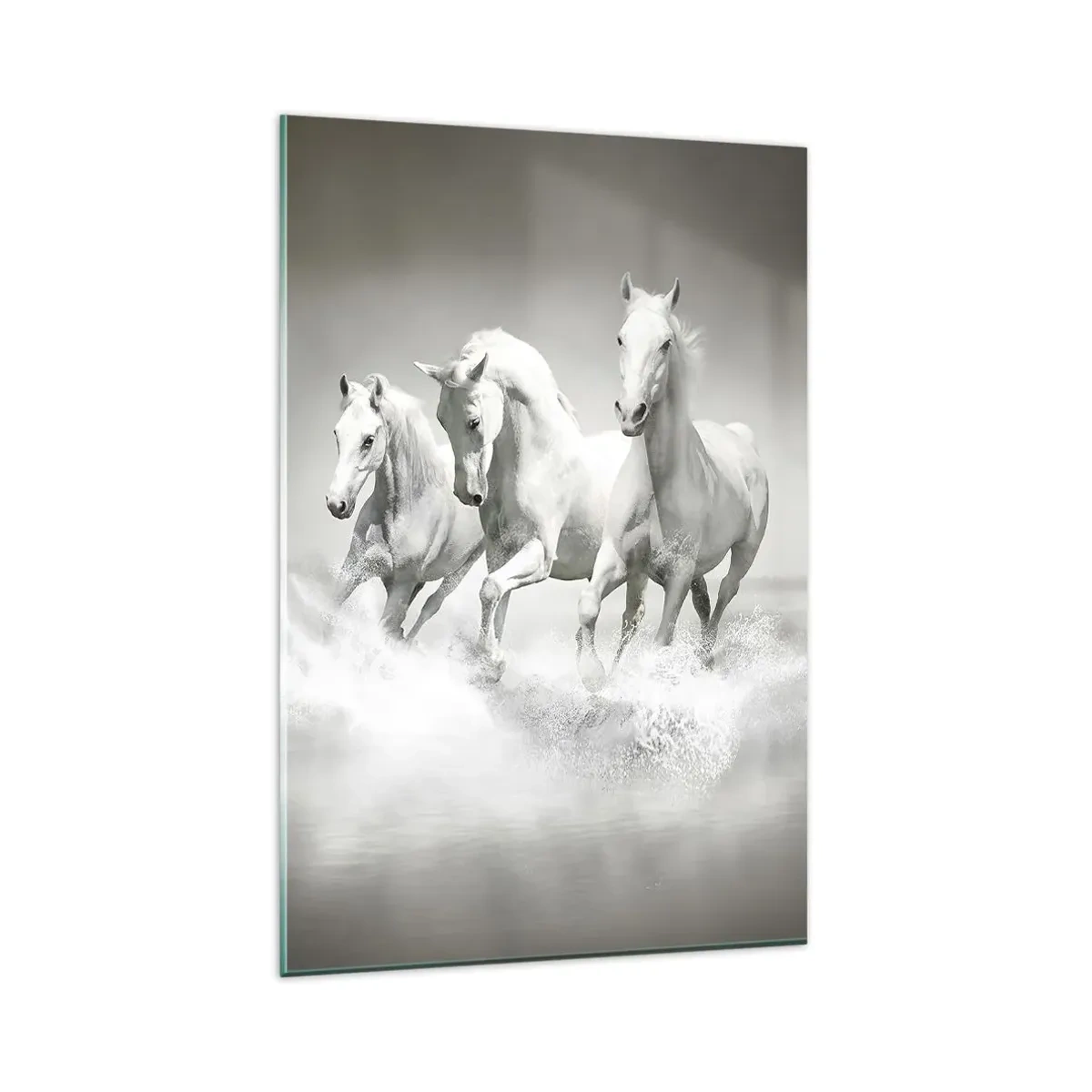 Impression sur verre - Image sur verre - Trois chevaux blancs galopant dans l'eau - 80x120cm - La folie blanche - Décoration murale moderne pour le salon et la chambre ARTTOR
