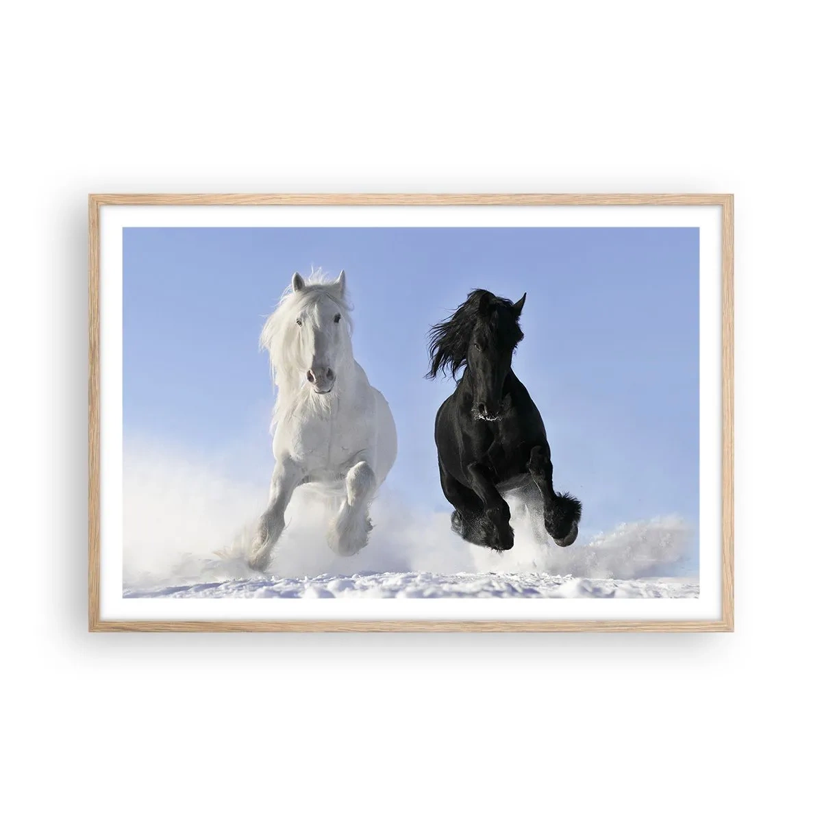 Affiche dans un chêne clair - Poster - Galop noir et blanc - 91x61 cm