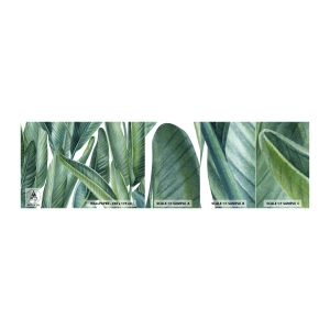 Échantillon De Papier Peint Standard Eco - La nature face à elle-même - Feuilles vertes, Plante tropicale, Nature - 100x30 cm