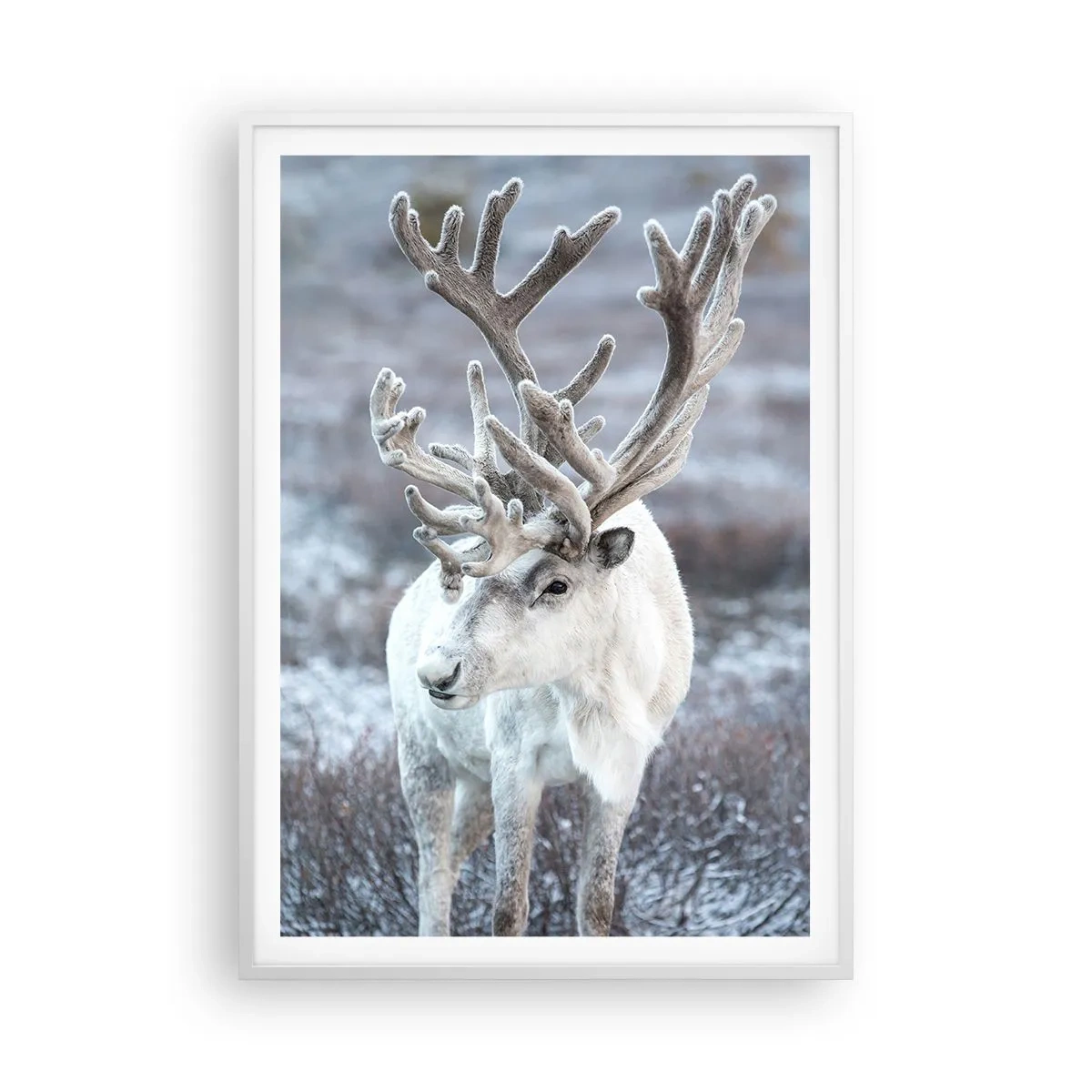 Affiche dans un cadre blanc - Poster - Portrait au soleil - 70x100 cm