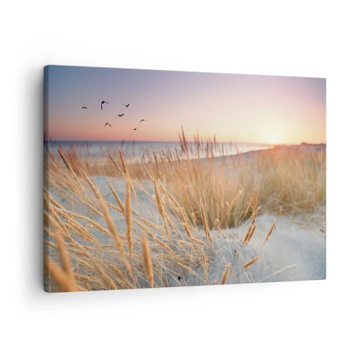 Impression sur toile - Image sur toile - Plage au coucher du soleil avec de hautes herbes - 70x50cm - Berceuse baltique - Décoration murale moderne pour le salon et la chambre ARTTOR