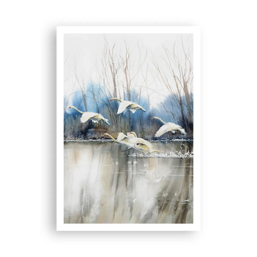 Affiche - Poster - Comme dans un conte de fées sur les cygnes sauvages - 70x100 cm
