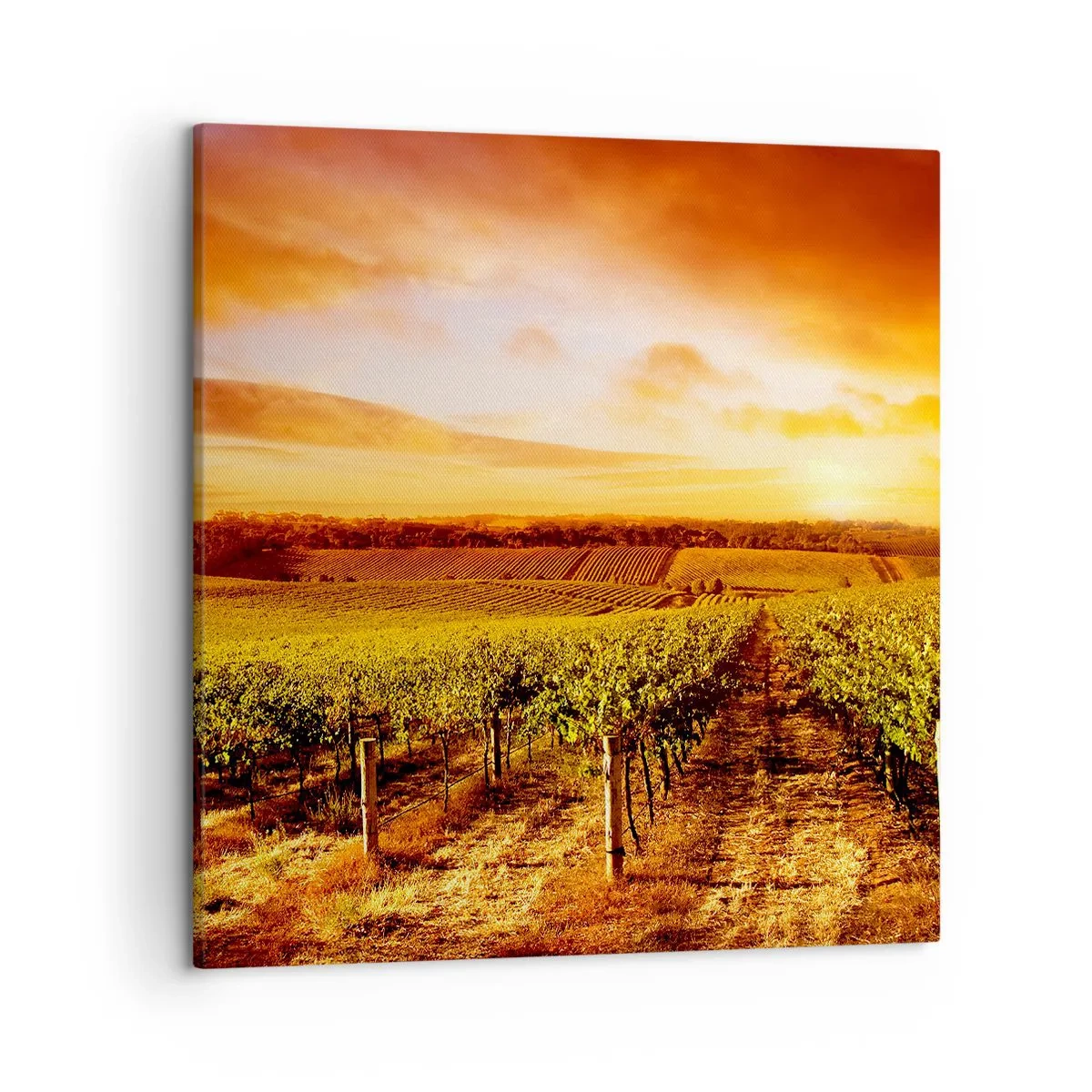 Impression sur toile - Image sur toile - Légèrement fruité avec une pointe de soleil - 50x50 cm