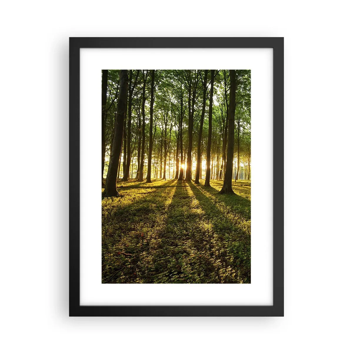 Affiche dans un cadre noir - Poster - Toutes les photographies de printemps - 30x40 cm