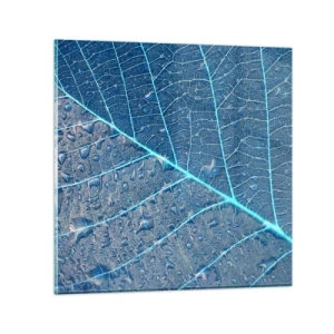 Impression sur verre - Image sur verre - La vie en bleu - 70x70 cm
