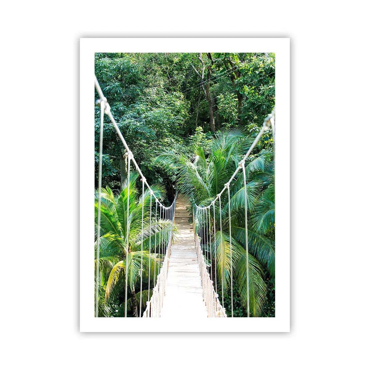 Affiche - Poster - Un pont suspendu dans une forêt tropicale humide - 50x70cm - Welcome to the jungle! - Décoration murale moderne pour le salon et la chambre ARTTOR