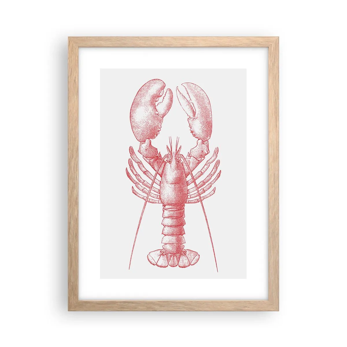 Affiche dans un chêne clair - Poster - Un homard digne d'Homère - 30x40 cm