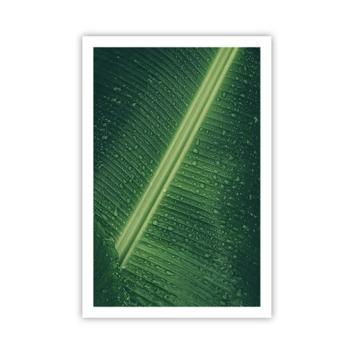 Affiche - Poster - Structure de vert - 61x91 cm