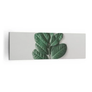 Impression sur toile - Image sur toile - Un brin de feuilles vertes sur un fond clair - 160x50cm - Dessin de la nature elle-même - Décoration murale moderne pour le salon et la chambre ARTTOR
