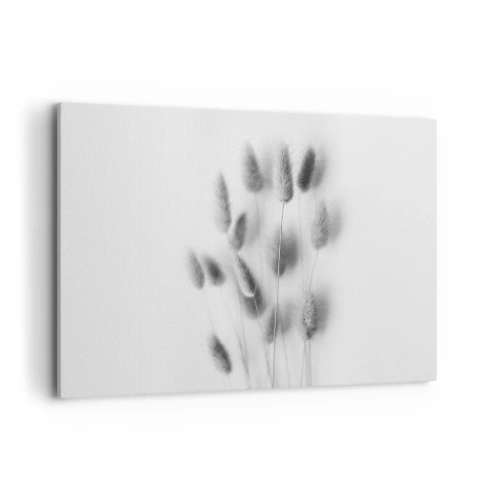 Impression sur toile - Image sur toile - Graminées délicates dans des tons de gris sur fond blanc - 100x70cm - Son herbe duveteuse - Décoration murale moderne pour le salon et la chambre ARTTOR