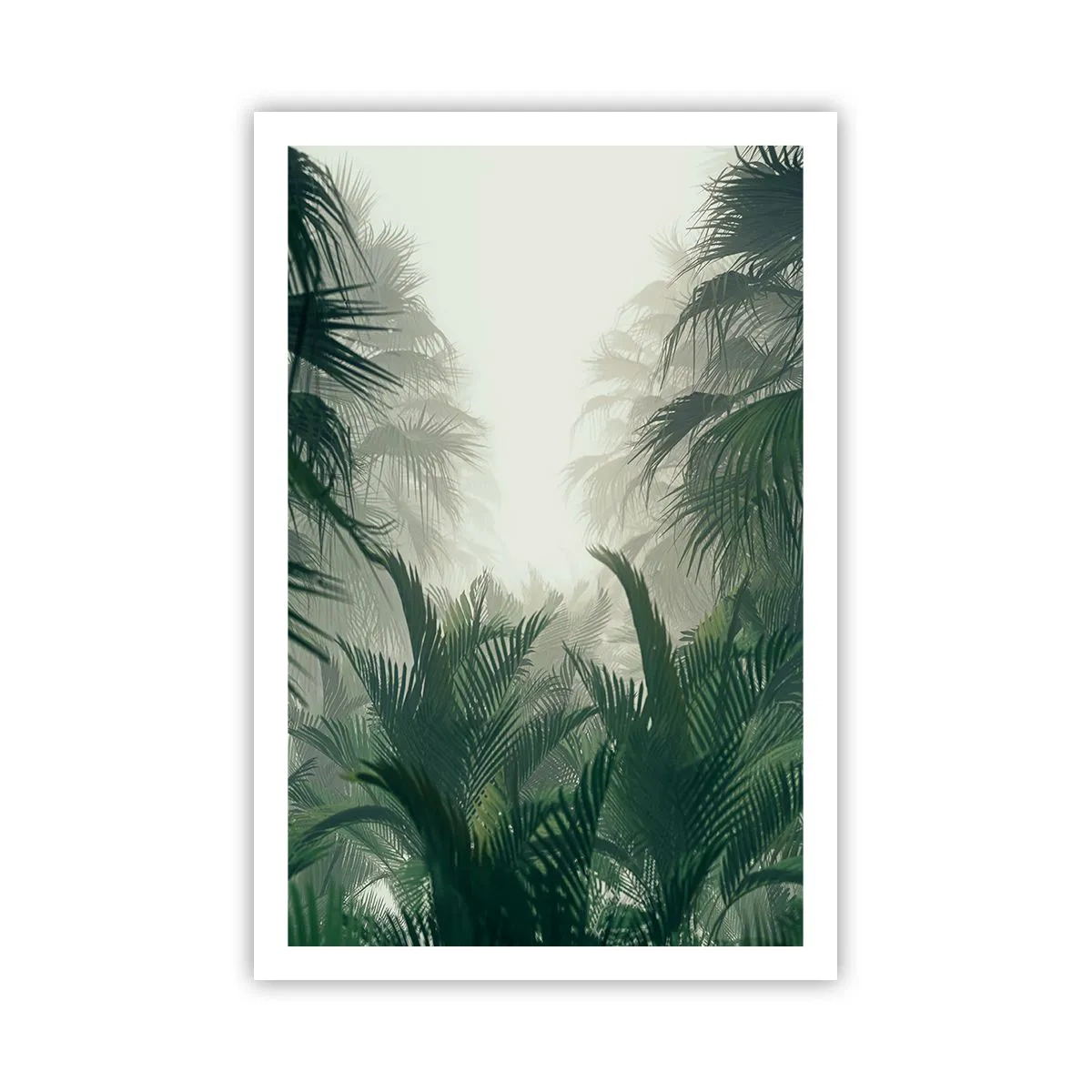 Affiche - Poster - Secret tropical - 61x91 cm