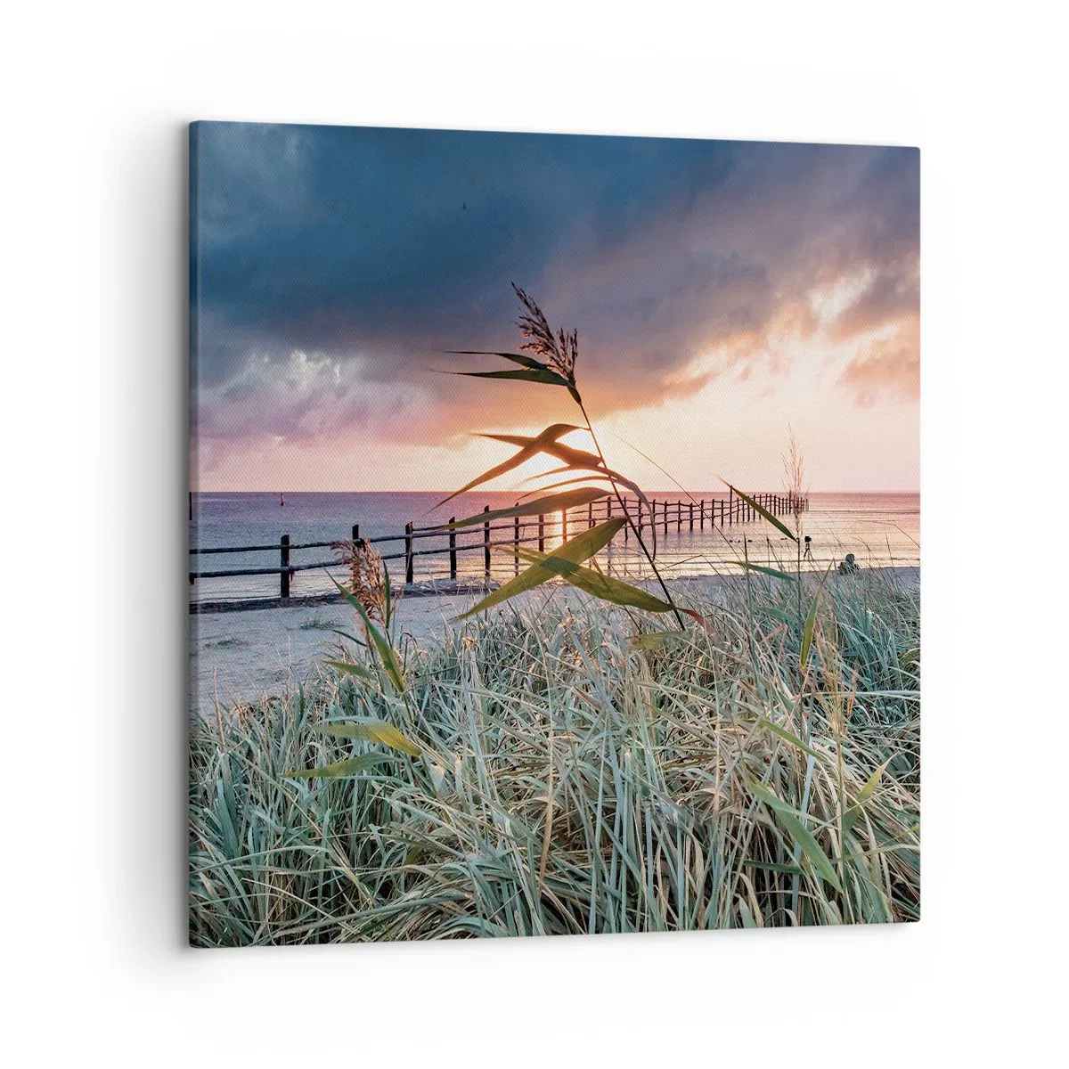 Impression sur toile - Image sur toile - Ça ne passe pas avec le vent - 50x50 cm