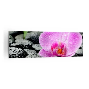 Impression sur toile - Image sur toile - Orchidée rose sur des pierres noires humides avec des feuilles vertes - 160x50cm - Comme un coeur ouvert - Décoration murale moderne pour le salon et la chambre ARTTOR