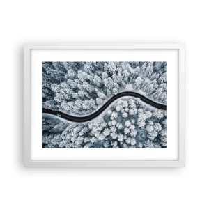 Affiche dans un cadre blanc - Poster - À travers une forêt d'hiver - 40x30 cm