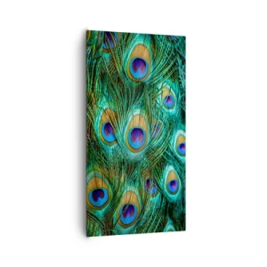 Impression sur toile - Image sur toile - Un regard de paon - 65x120 cm
