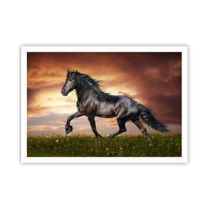 Affiche - Poster - Un cheval noir galopant contre le soleil couchant - 100x70cm - Livres noirs - Décoration murale moderne pour le salon et la chambre ARTTOR