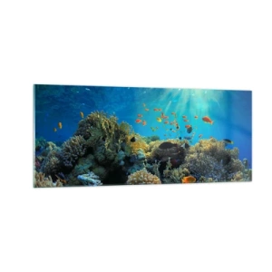 Impression sur verre - Image sur verre - Trésor sous-marin - 100x40 cm
