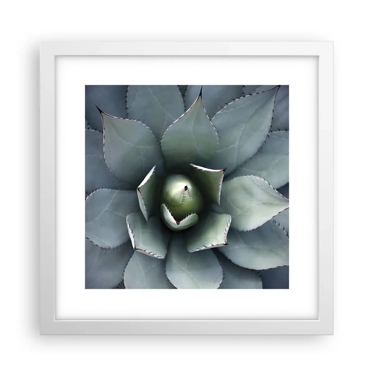 Affiche dans un cadre blanc - Poster - Wabi et observe - 30x30 cm