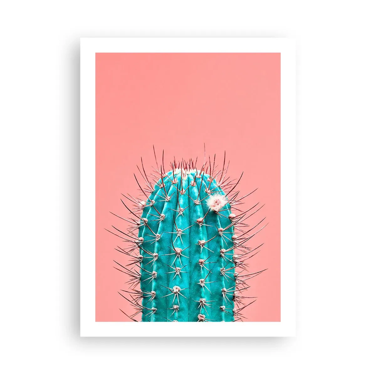 Affiche - Poster - Cactus turquoise sur fond rose - 50x70cm - Juste regarde - Décoration murale moderne pour le salon et la chambre ARTTOR