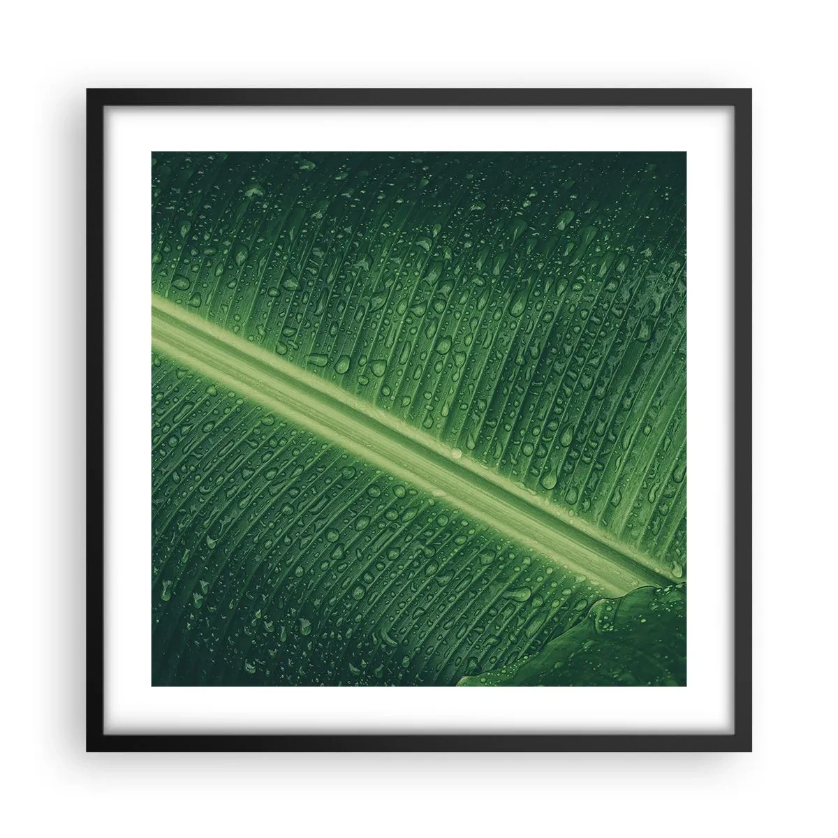 Affiche dans un cadre noir - Poster - Structure de vert - 50x50 cm