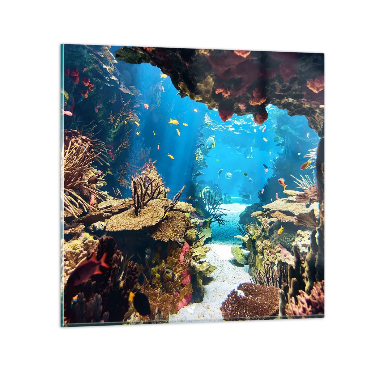 Impression sur verre - Image sur verre - Tu ne l'as même pas rêvé - 40x40 cm