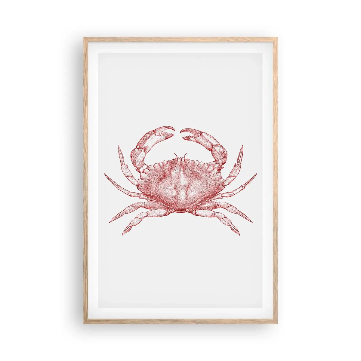 Affiche dans un chêne clair - Poster - Le crabe des crabes - 61x91 cm