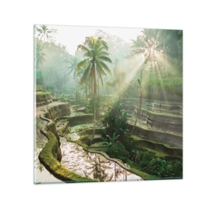 Impression sur verre - Image sur verre - Grandir au soleil - 60x60 cm