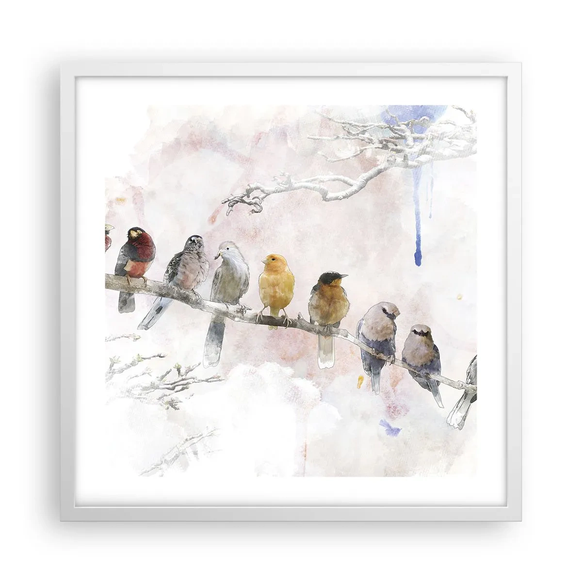 Affiche dans un cadre blanc - Poster - Rencontre ailée - 50x50 cm