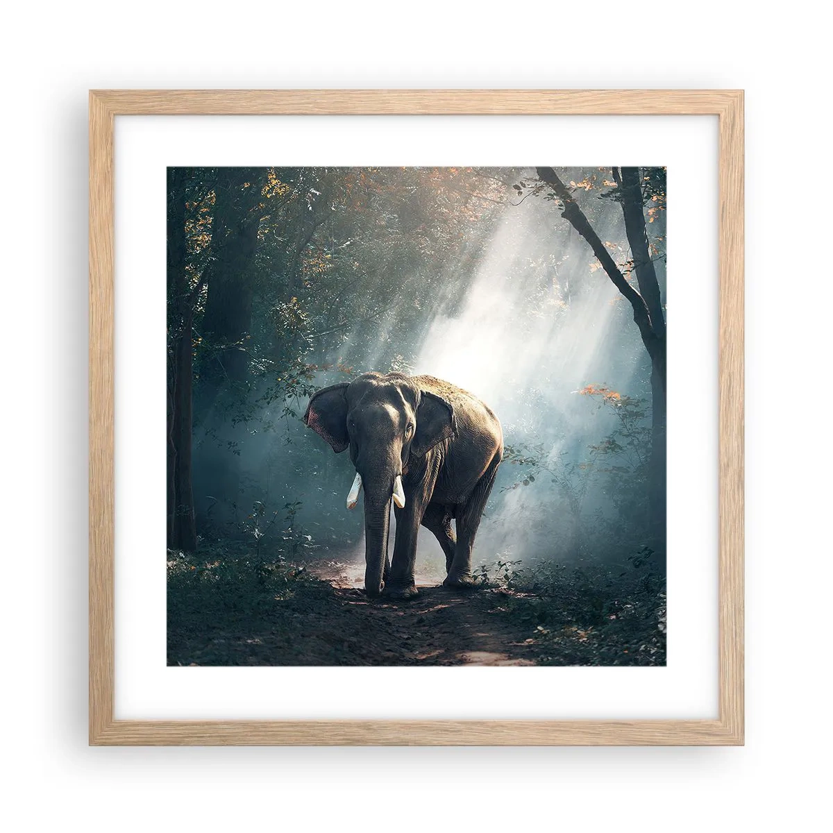 Affiche dans un chêne clair - Poster - Une balade tranquille - 40x40 cm