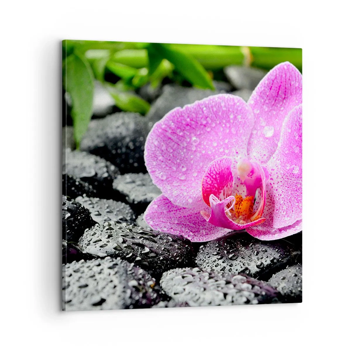 Impression sur toile - Image sur toile - Comme un coeur ouvert - 60x60 cm