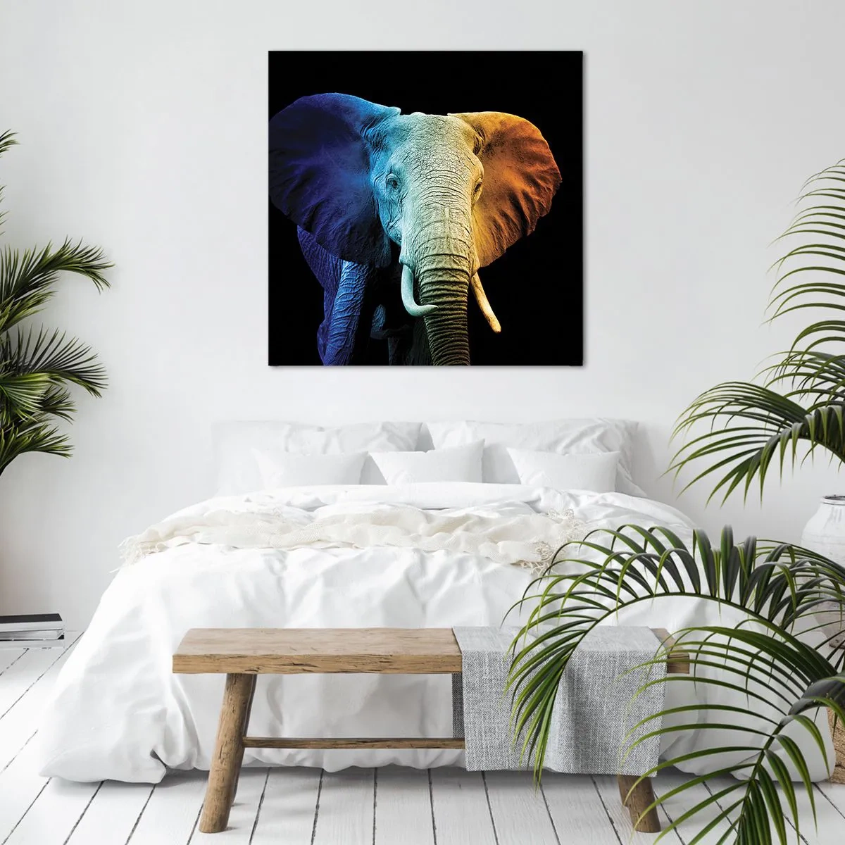 Impression sur toile - Image sur toile - Excentrique, pas bizarre - 40x40 cm