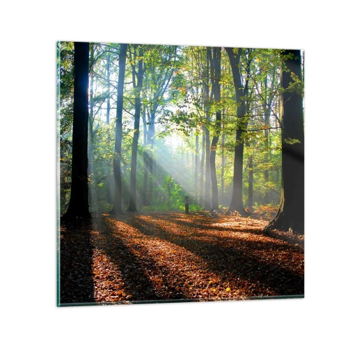 Impression sur verre - Image sur verre - Ombres et lumières - 30x30 cm