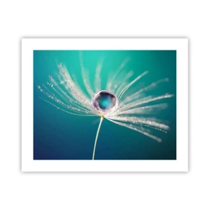 Affiche - Poster - Moment mystique - 50x40 cm
