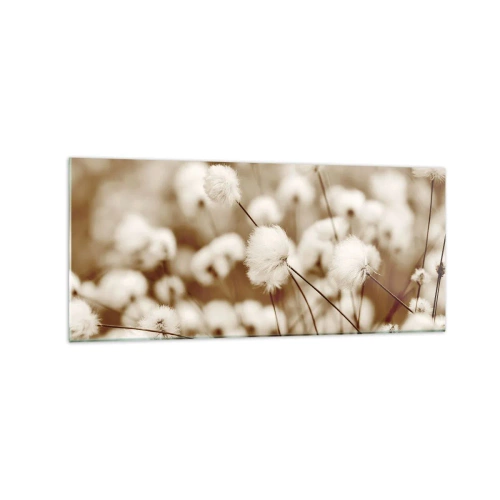 Impression sur verre - Image sur verre - Un champ de plantes délicates aux tons sépia - 120x50cm - Tige moelleuse - Décoration murale moderne pour le salon et la chambre ARTTOR